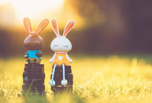 浪琴專注腕上呈現(xiàn)“優(yōu)雅”的表款系列